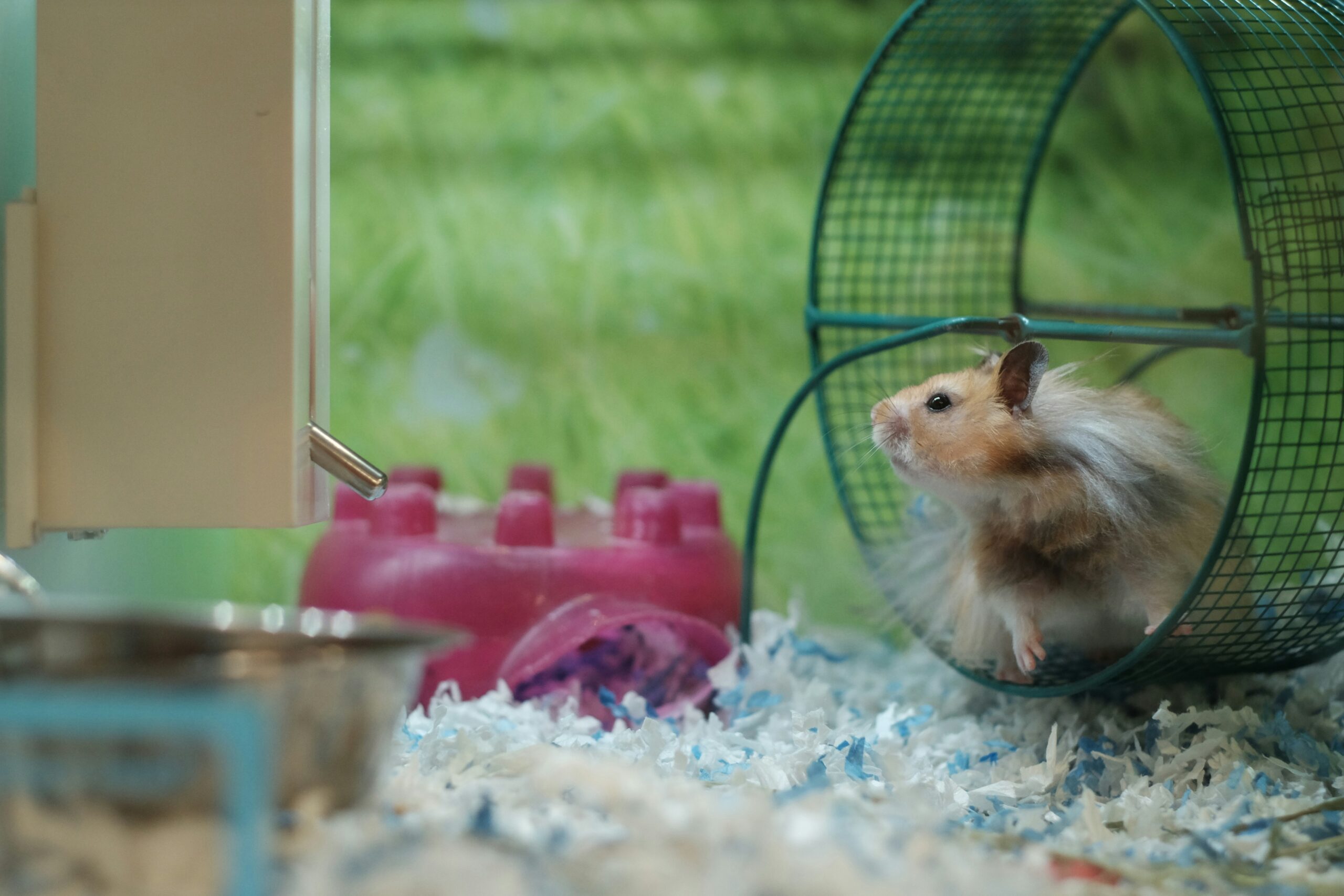 Stepping off the Hamster Wheel and into His Rest